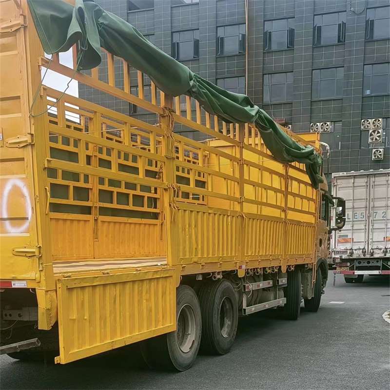 龙湾区灵璧县物流运输：多元服务与高效线路探秘