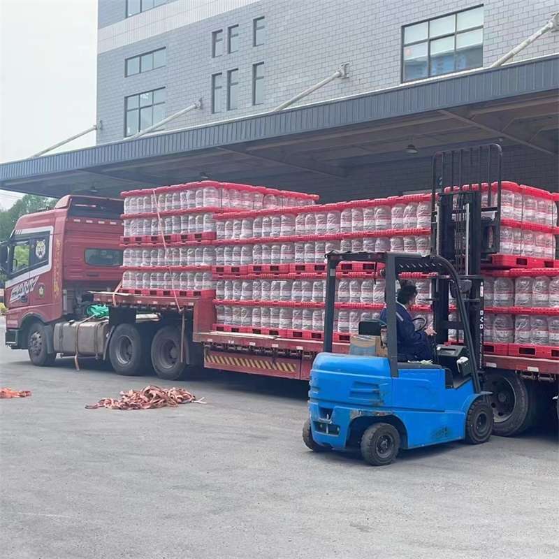 龙湾区雨城区物流：多元服务与高效运输线路探秘